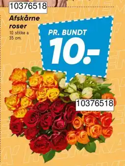 Bilka Afskårne roser tilbud