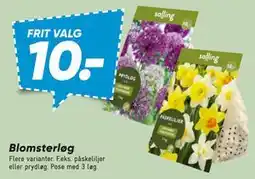 Bilka Blomsterløg tilbud