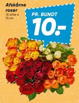Bilka Afskårne roser tilbud