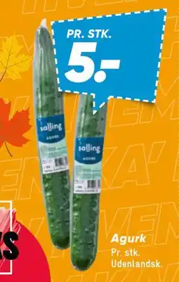 Bilka Agurk tilbud