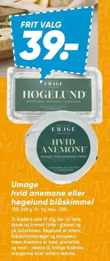 Bilka Umage hvid anemone eller høgelund blåskimmel tilbud