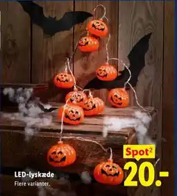 Lidl LED-lyskæde tilbud