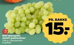 Netto ØGO økologiske stenfri grønne druer tilbud