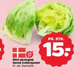 Netto ØGO økologisk dansk icebergsalat tilbud