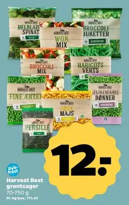 Netto Harvest Best grøntsager tilbud