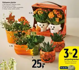 Føtex Trends Design Halloween planter tilbud