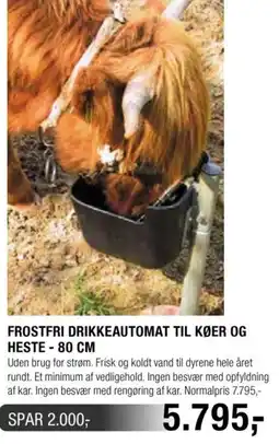Land & Fritid Frostfri Drikkeautomat Til Køer Og Heste - 80 Cm tilbud