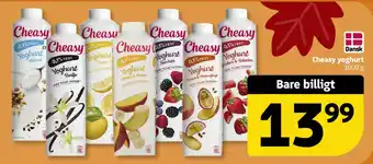 Cheasy yoghurt
