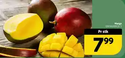 Løvbjerg Mango tilbud