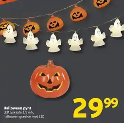 Løvbjerg Halloween pynt tilbud