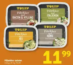Løvbjerg Tulip pålækker salater tilbud