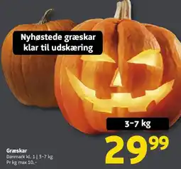 Løvbjerg Græskar tilbud