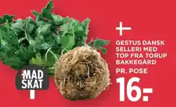 MENY Gestus dansk selleri med top fra torup bakkegård tilbud