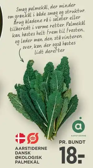 MENY AARSTIDERNE DANSK ØKOLOGISK PALMEKÅL tilbud