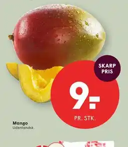 SPAR Mango tilbud