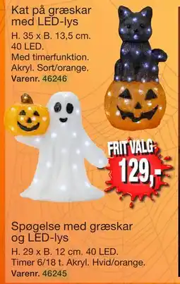 Harald Nyborg Kat på græskar med LED-lys tilbud