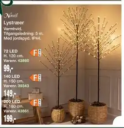 Harald Nyborg Lystræer tilbud
