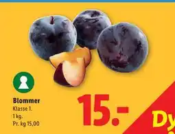 Lidl Blommer tilbud