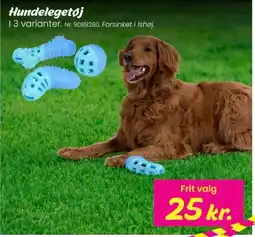 Hi five Hundelegetøj tilbud
