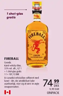 Scandinavian Park Fireball Cinnamon Whisky tilbud