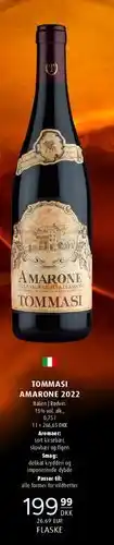 Scandinavian Park Tommasi Amarone tilbud