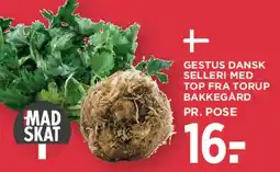 MENY Gestus dansk selleri med top tilbud