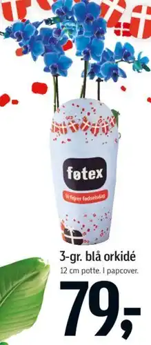 Føtex 3-gr. blå orkidé tilbud