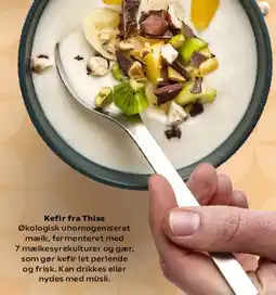 SuperBrugsen Thise økologisk kefir 2,0% tilbud