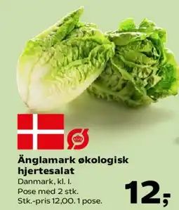 SuperBrugsen Änglamark økologisk hjertesalat tilbud