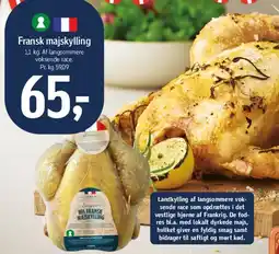 Føtex Fransk majskyling tilbud