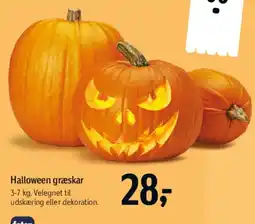 Føtex Halloween græskar tilbud