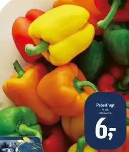 Føtex Peberfrugt tilbud