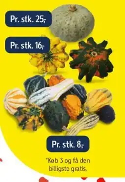 Føtex Pyntegræskar (dekorative græskar) tilbud