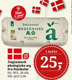Dagli'Brugsen Änglamark økologiske æg fra Dueholm tilbud