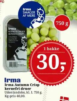 Dagli'Brugsen Irma Autumn Crisp kernefri druer tilbud