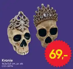 BigDollar Kranie tilbud