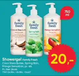 BigDollar Family Fresh Showergel tilbud