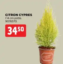jem & fix CITRON CYPRES tilbud