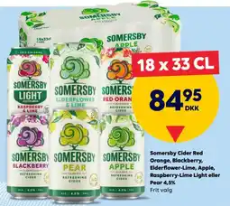 BorderShop Somersby Cider Red Orange, Blackberry, Elderflower-Lime, Apple, Raspberry-Lime Light eller Pear tilbud