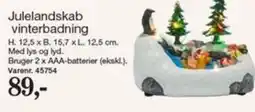 Harald Nyborg Julelandskab vinterbadning tilbud