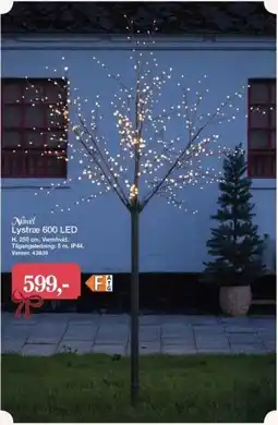 Harald Nyborg Novel Lystræ 600 LED tilbud