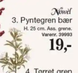 Harald Nyborg Novel Pyntegren bær tilbud