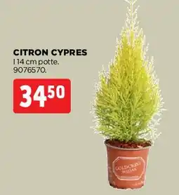 jem & fix Citron Cypres tilbud