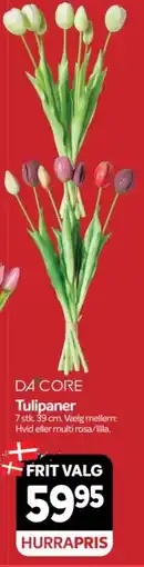 Din Isenkræmmer Da Core Tulipaner tilbud