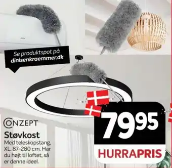 Conzept Støvkost