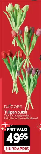 Din Isenkræmmer DA CORE Tulipan buket tilbud