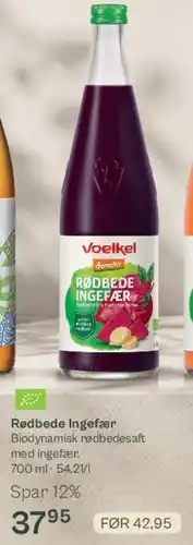 Rødbede Ingefær