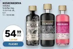 Scandinavian Park Koskenkorva tilbud