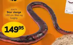 Buddy Leg Stor slange tilbud