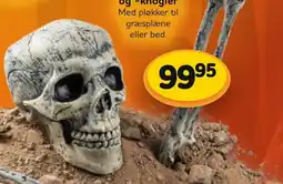 Buddy Leg og -knogler tilbud